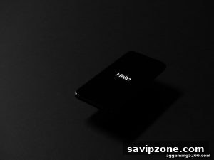 AG真人 savipzone