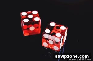 AG真人 savipzone